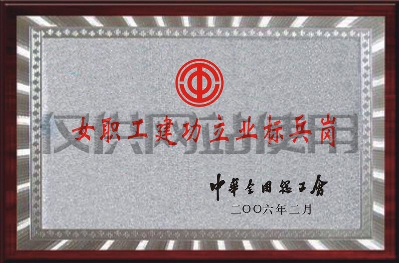 2006年獲全國(guó)總工會(huì)“女職工建功立業(yè)標(biāo)兵崗”