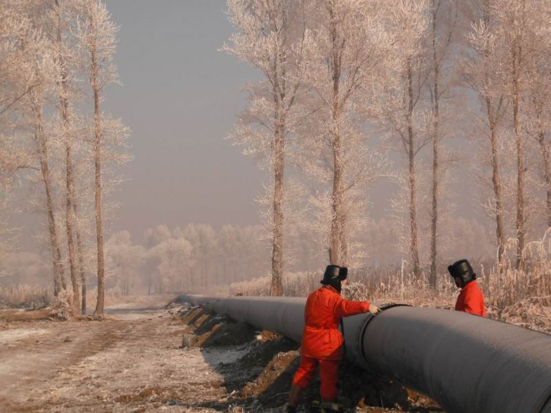 長輸管道類檢測業績