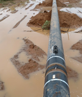 既然選擇了遠方，便只顧風雨兼程