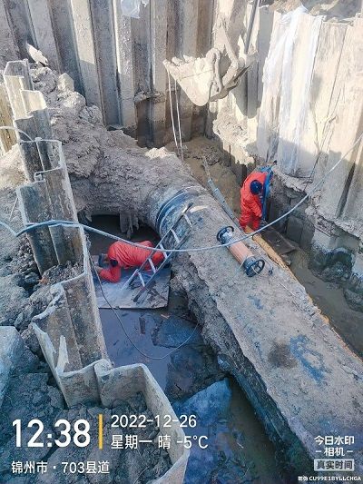 公司逆行出征 全力增援業主項目